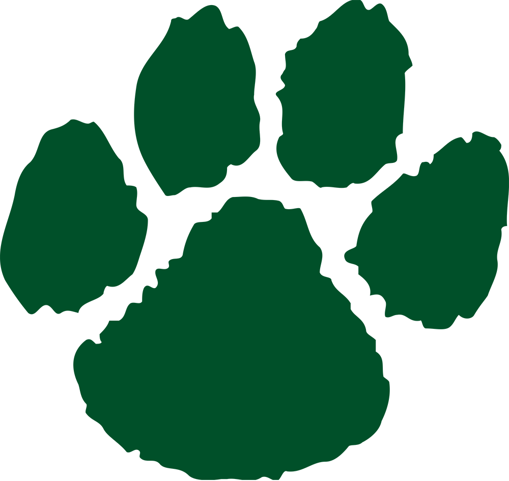 Northern Michigan Wildcats 0-Pres Alternate Logo v2 diy fabric transfer